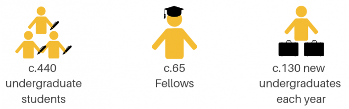 around 440 undergraduate students in total, around 65 fellows, and around 130 new undergraduates each year.