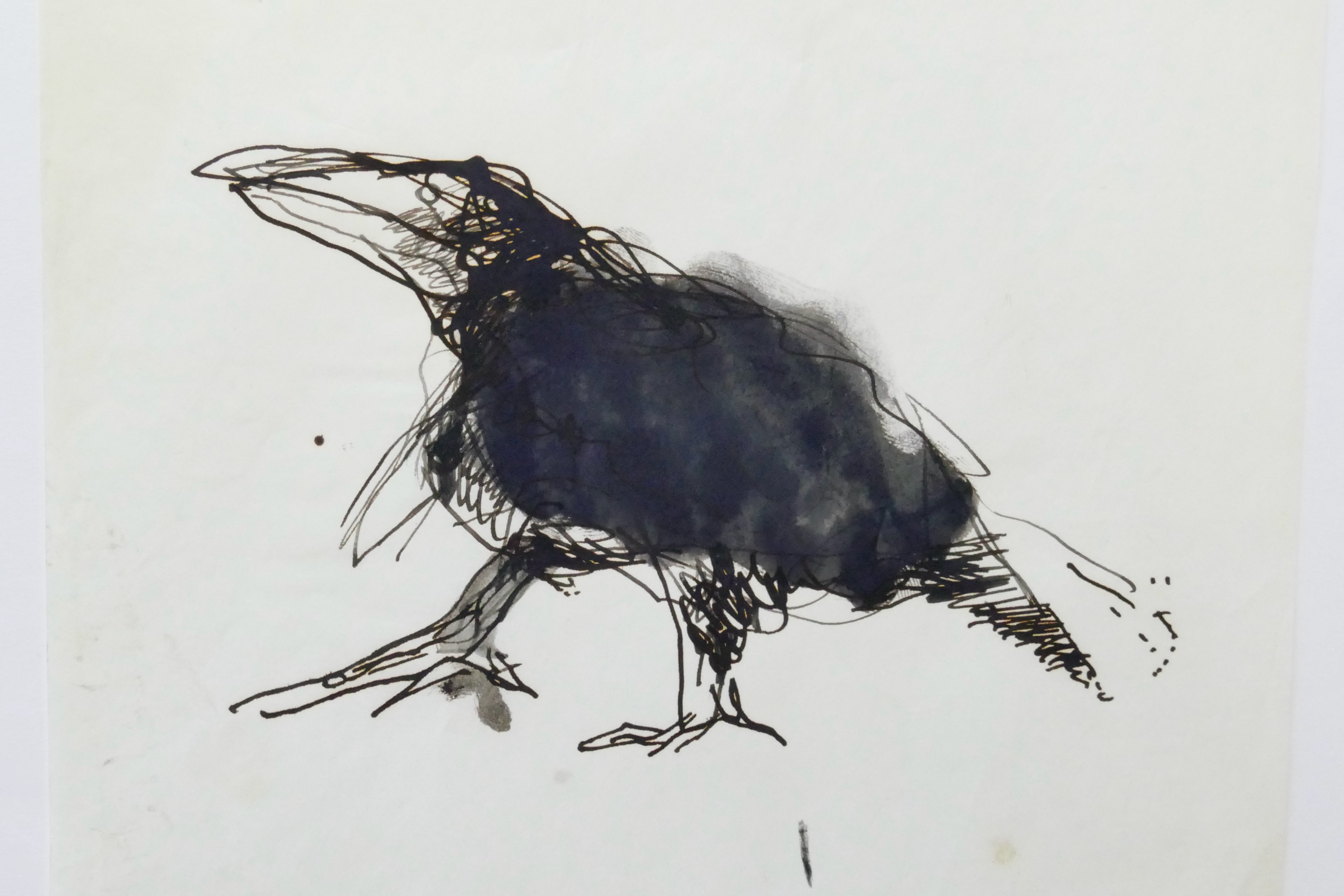 Crow by Barrie Cooke. Reproduced with the permission of The Barrie Cooke Estate