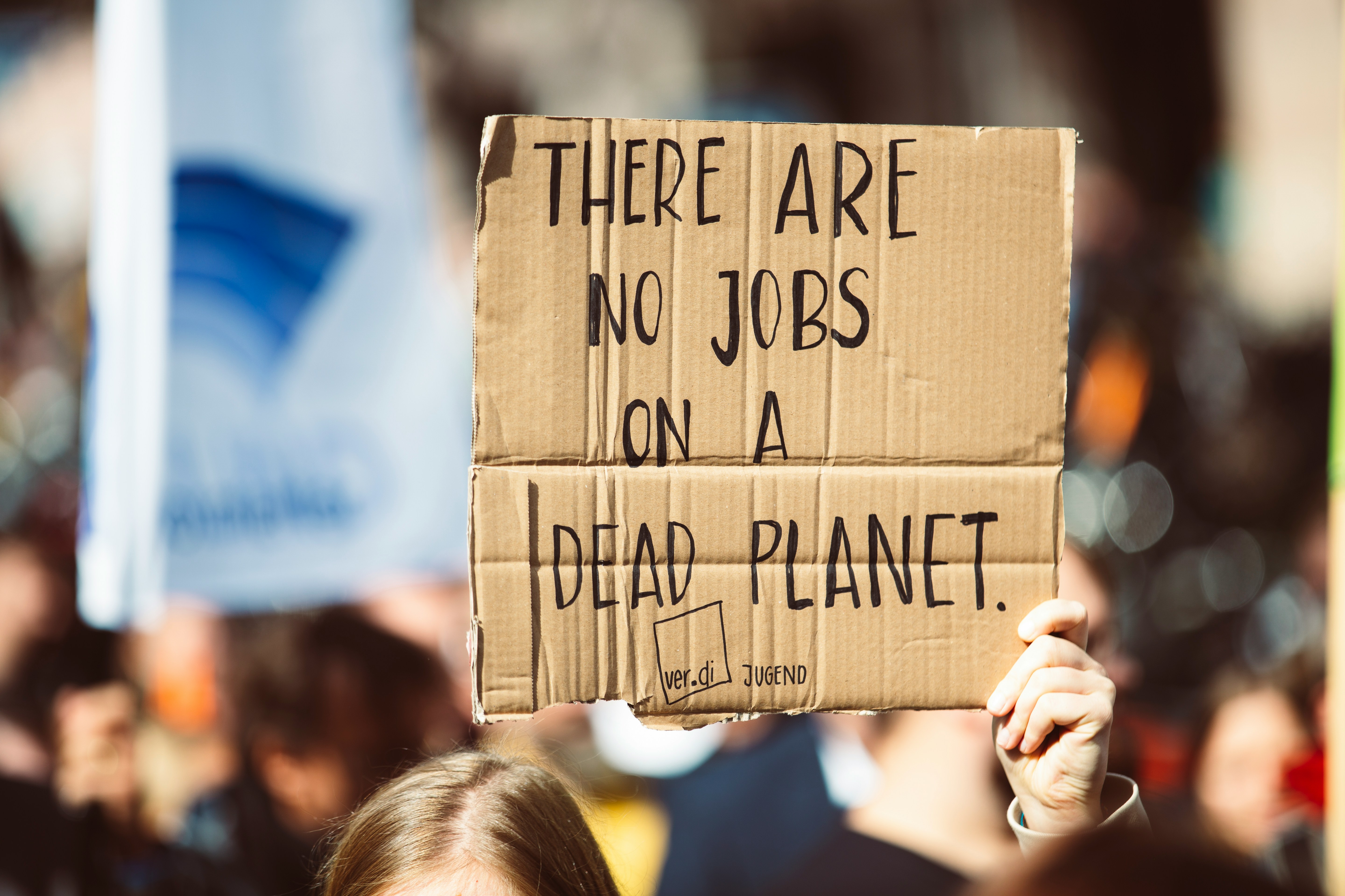 A cardboard sign held up at a protest read 'There are no jobs on a dead planet'
