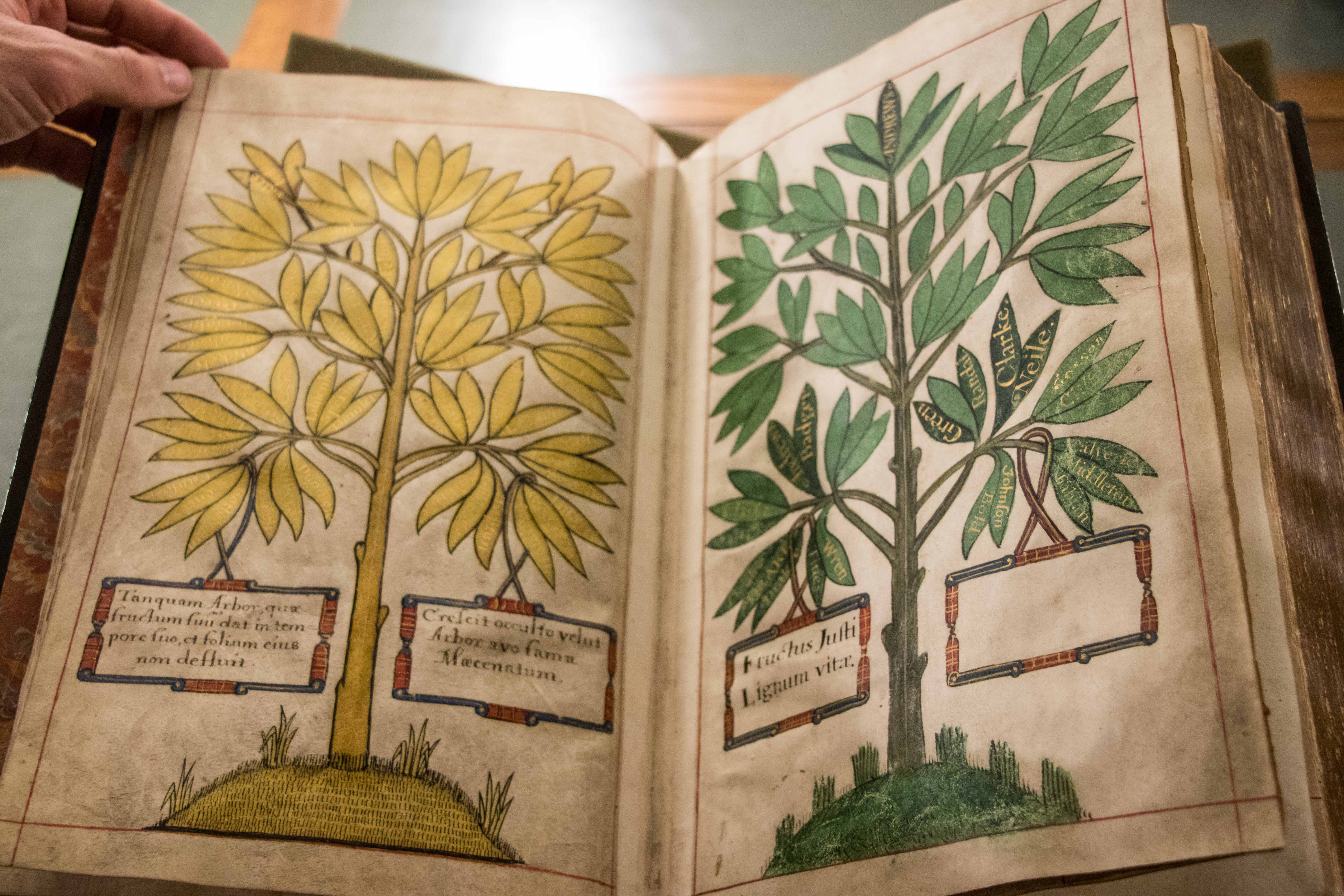 Open spread of teh book, showing dead benefctors names on a tree with yellow leaves on the left-hand page, and living benefactors' names on green leaves of a tree on the right-hand page