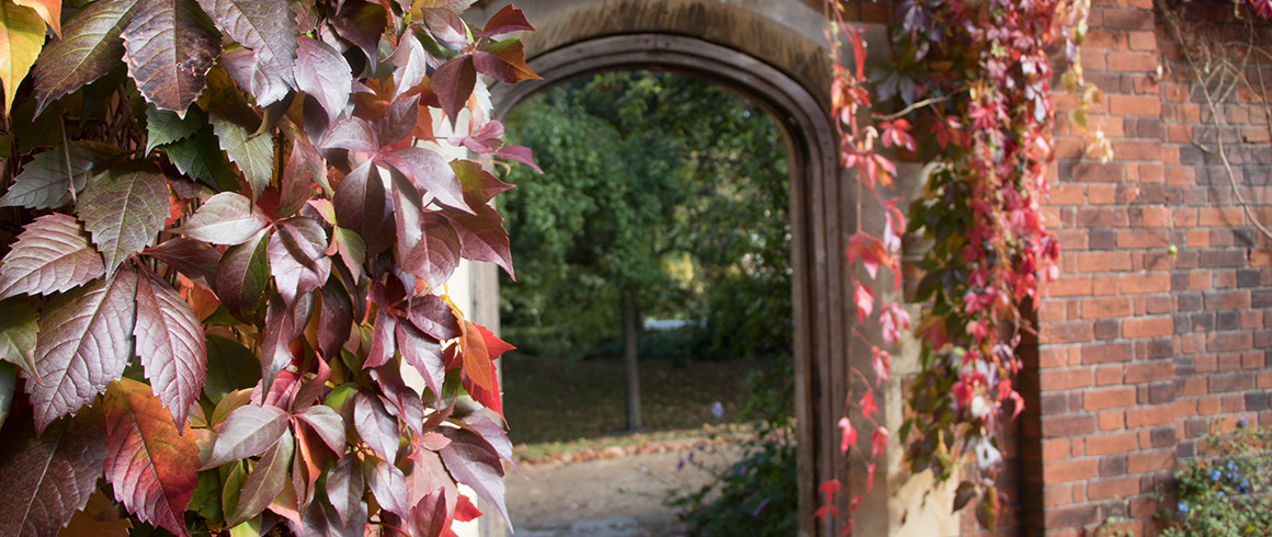 Image of archway with autumn leaves